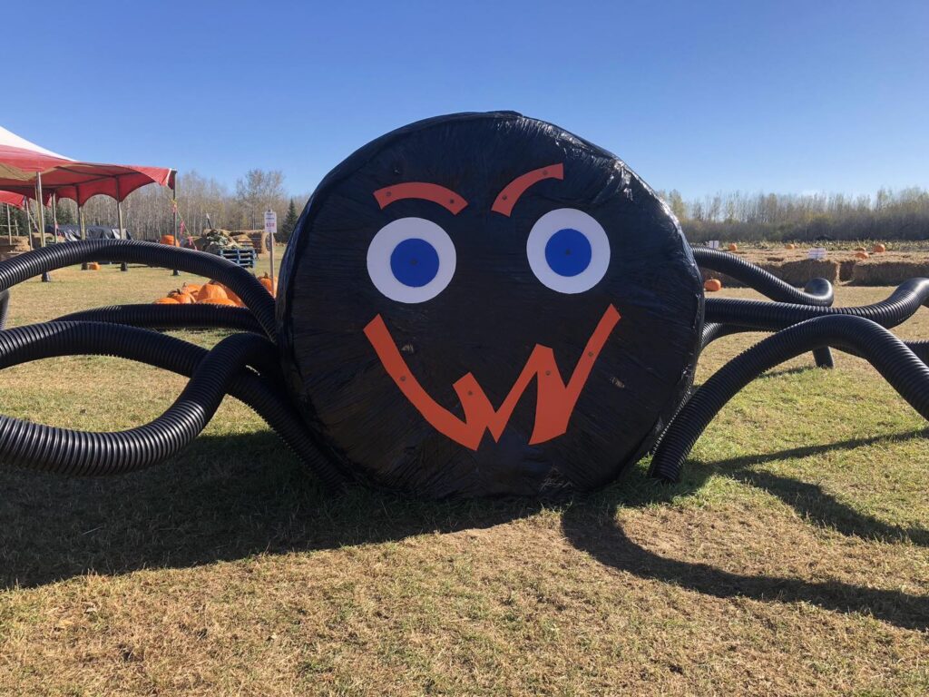 Fall Fun Days Giant Spider.