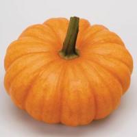 Jack be Little Pumpkin Jack-Be-Little