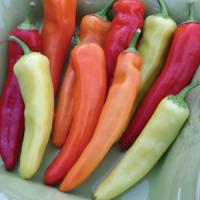 Pepper Hungarian Hot Wax