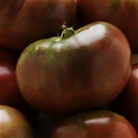 Tomato Black Krim