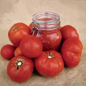 tomato beefsteak
